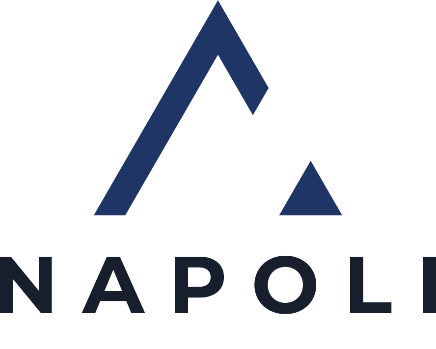 Avada SEO